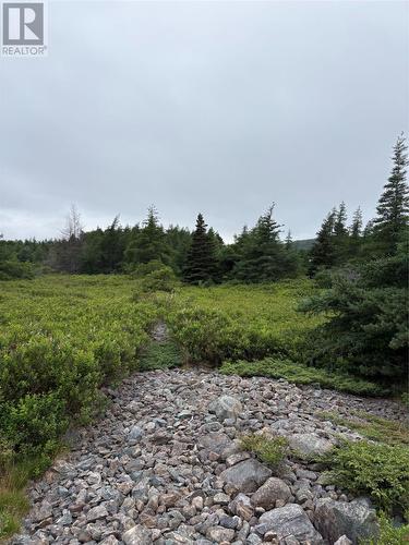 0 Sod Lane, Bay Roberts, NL 
