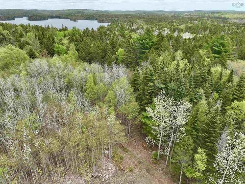 Lot 15 Camperdown School Road, Middlewood, NS 