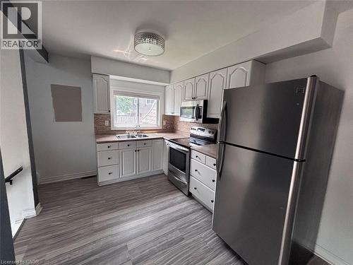 5 Viking Court Unit# 304, Grimsby, ON - Indoor Photo Showing Kitchen With Double Sink