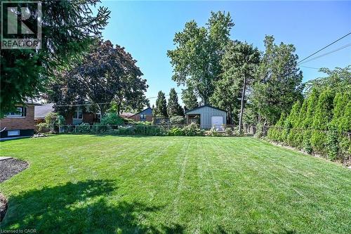 Expansive backyard featuring a large manicured lawn, mature trees, a storage shed, a chain-link fence, and a privacy hedge - 386 Upper Kenilworth Avenue, Hamilton, ON - Outdoor