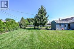 Expansive grass lawn featuring a detached storage shed with a gambrel roof and a mature evergreen tree - 
