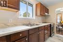 29 Woodlawn Avenue, Brantford, ON  - Indoor Photo Showing Kitchen With Double Sink 