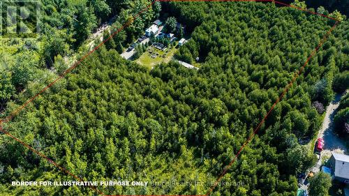 Surrounded by trees - 563878 Holland Glenelg Townline, West Grey, ON - Outdoor