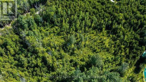 563878 Holland Glenelg Townline, West Grey, ON - Outdoor