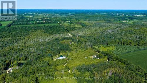 563878 Holland Glenelg Townline, West Grey, ON - Outdoor With View