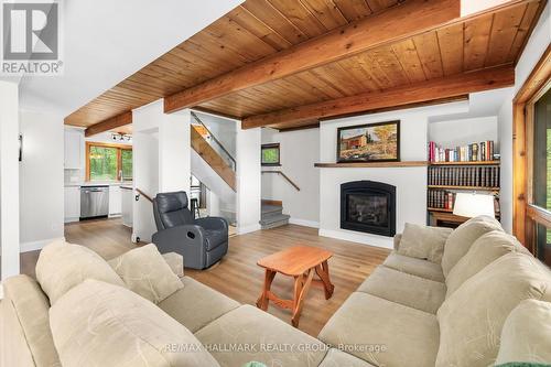 117 Birch Bay Lane, Tay Valley, ON - Indoor Photo Showing Living Room With Fireplace