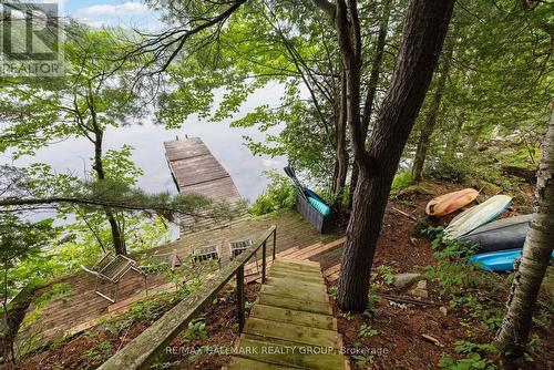 117 Birch Bay Lane, Tay Valley, ON - Outdoor