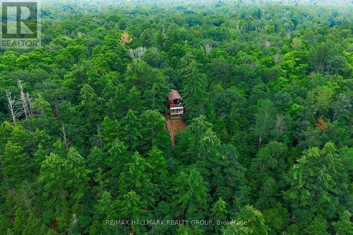 117 Birch Bay Lane, Tay Valley, ON - Outdoor