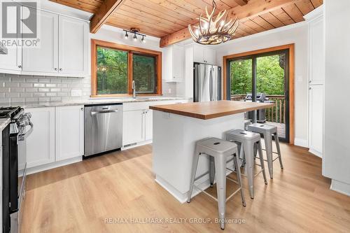 117 Birch Bay Lane, Tay Valley, ON - Indoor Photo Showing Kitchen With Upgraded Kitchen