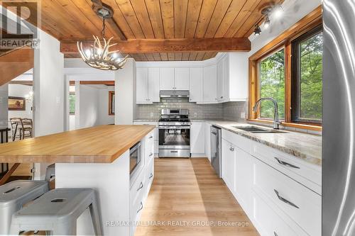 117 Birch Bay Lane, Tay Valley, ON - Indoor Photo Showing Kitchen