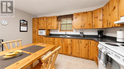 20612 Hwy 540, Silver Water, Manitoulin Island, ON - Indoor Photo Showing Kitchen With Double Sink