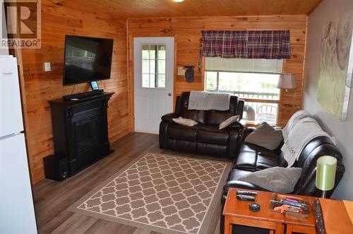 93 Penney Lane, Brigus Junction, NL - Indoor Photo Showing Living Room With Fireplace