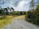 117 Askels Cove Road, Western Arm, NL 