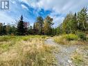 117 Askels Cove Road, Western Arm, NL 