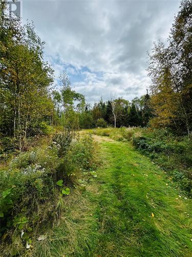 117 Askels Cove Road, Western Arm, NL 
