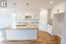 6 Glenco Road, South Stormont, ON  - Indoor Photo Showing Kitchen With Double Sink With Upgraded Kitchen 