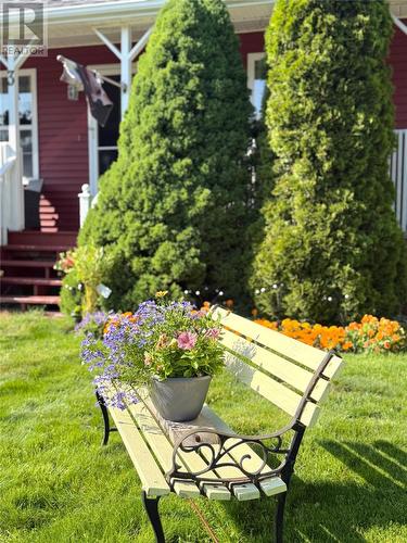 3 White Rose Place, Clarenville, NL - Outdoor