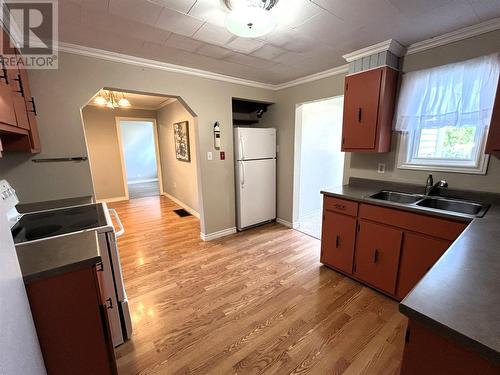 20 Sherwood Place, Stephenville, NL - Indoor Photo Showing Kitchen With Double Sink