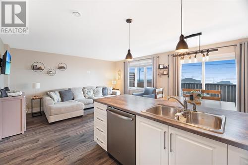 20 Alberton Drive, Paradise, NL - Indoor Photo Showing Kitchen With Double Sink