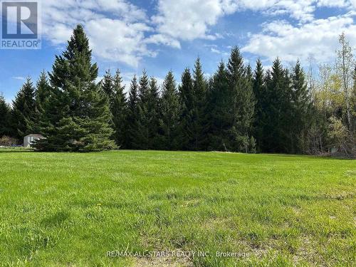 1185 Sturgeon Road, Kawartha Lakes (Emily), ON 