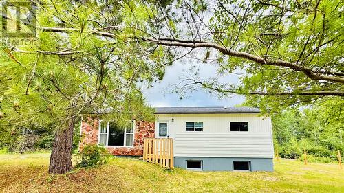 5 Burnt Berry Farm Road, Springdale, NL - Outdoor