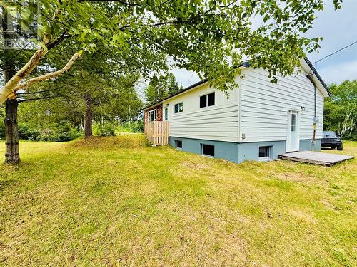 5 Burnt Berry Farm Road, Springdale, NL - Outdoor With Exterior