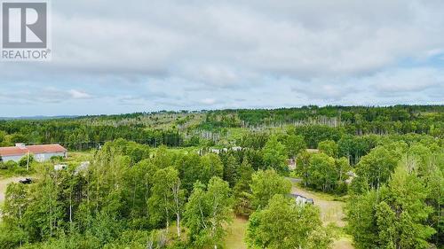 5 Burnt Berry Farm Road, Springdale, NL - Outdoor With View