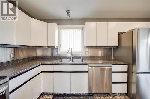 3857 Socrates Court, Windsor, ON - Indoor Photo Showing Kitchen With Double Sink