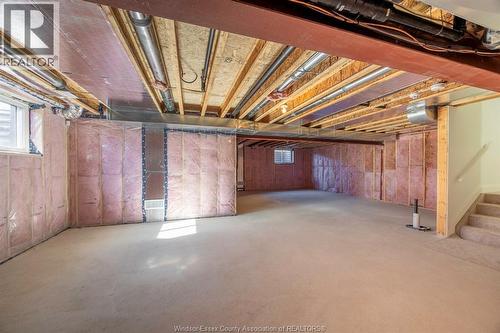 109 Erie Isle Court, Amherstburg, ON - Indoor Photo Showing Basement