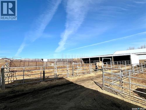 Cadrain Acres, Swift Current Rm No. 137, SK - Outdoor
