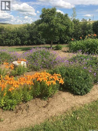 Cadrain Acres, Swift Current Rm No. 137, SK - Outdoor