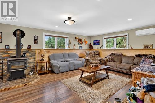 2 Ingrids Lane, Roaches Line, NL - Indoor Photo Showing Living Room With Fireplace