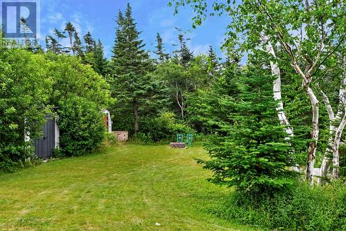 2 Ingrids Lane, Roaches Line, NL - Outdoor
