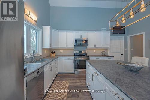 24 Ted'S Lane, Trent Lakes, ON - Indoor Photo Showing Kitchen With Stainless Steel Kitchen With Double Sink