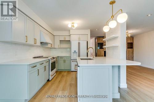 64 Templewood Drive, Kitchener, ON - Indoor Photo Showing Kitchen With Upgraded Kitchen
