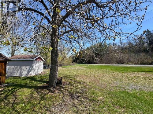 81 Scuttlehole Road, Belleville (Thurlow Ward), ON - Outdoor