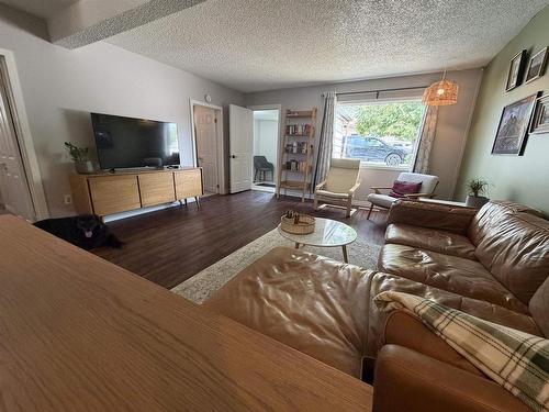 320 Tenth Street, Keewatin, ON - Indoor Photo Showing Living Room