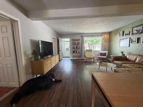 320 Tenth Street, Keewatin, ON - Indoor Photo Showing Living Room