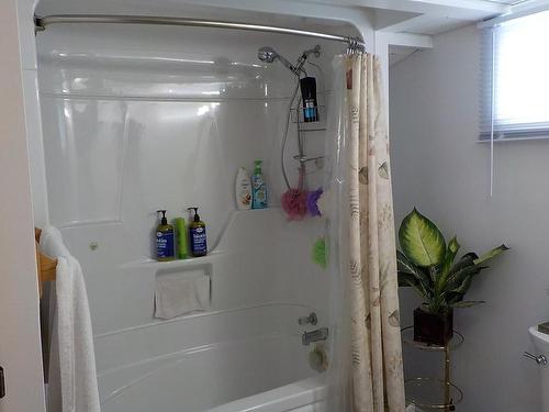 102 Kenogami Road, Greenstone, ON - Indoor Photo Showing Bathroom