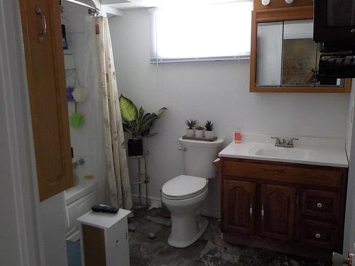 102 Kenogami Road, Greenstone, ON - Indoor Photo Showing Bathroom