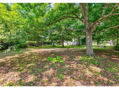 384 Parkhurst Dr, Fredericton, NB 