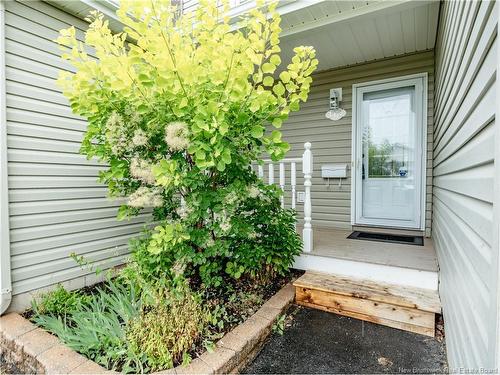 3-110 Domethilde Cres, Dieppe, NB 