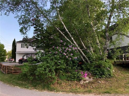7 Oak St, Mcadam, NB 