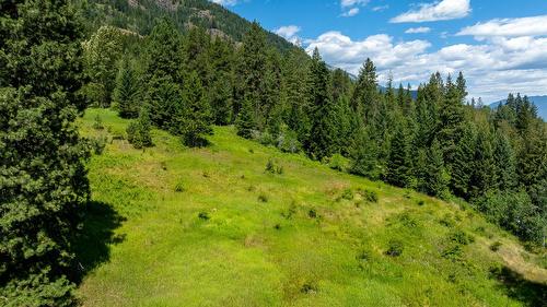 Evans Road, Creston, BC - Outdoor With View