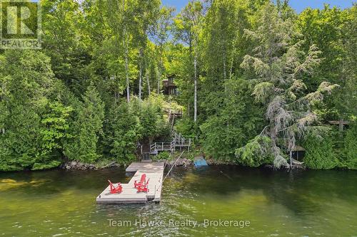 3359 Maple Ridge Road, Algonquin Highlands (Mcclintock), ON - Outdoor With Body Of Water