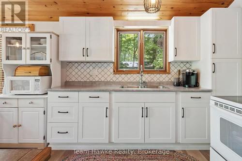 3359 Maple Ridge Road, Algonquin Highlands (Mcclintock), ON - Indoor Photo Showing Kitchen With Double Sink