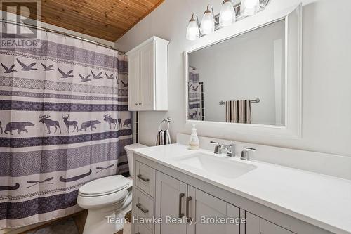 3359 Maple Ridge Road, Algonquin Highlands (Mcclintock), ON - Indoor Photo Showing Bathroom
