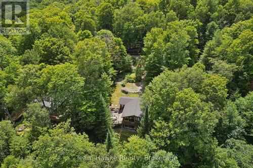 3359 Maple Ridge Road, Algonquin Highlands (Mcclintock), ON - Outdoor