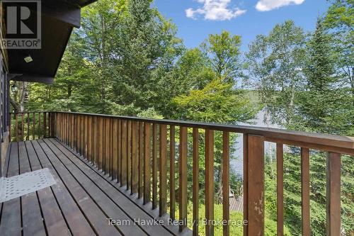 3359 Maple Ridge Road, Algonquin Highlands (Mcclintock), ON - Outdoor