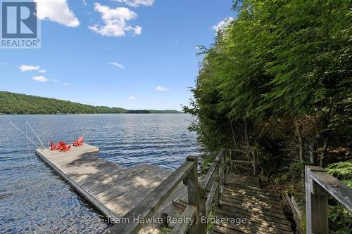 3359 Maple Ridge Road, Algonquin Highlands (Mcclintock), ON - Outdoor With Body Of Water With View